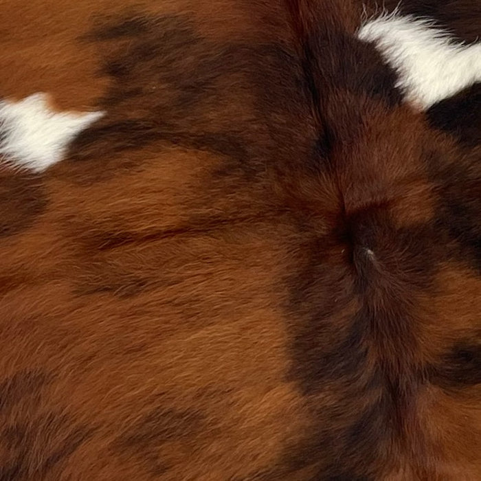 Closeup of this Colombian, Tricolor Cowhide, showing a mix of brown and black, and a couple small, white spots on the back (COTR880)