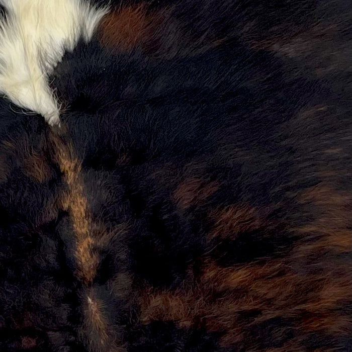 Closeup of this Colombian, Dark Tricolor Cowhide, showing mostly black, with some dark brown mixed in, and off-white on part of the spine (COTR884)