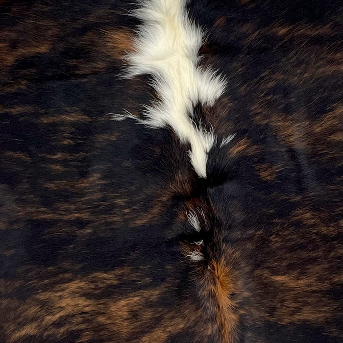 Closeup of this Colombian, Tricolor Cowhide, showing a black and brown, brindle pattern, and off-white down part of the spine (COTR897)