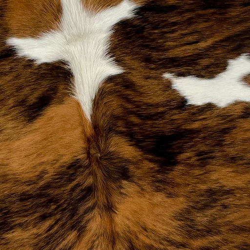 Closeup of this Colombian, Tricolor Cowhide, showing a brown and black, brindle pattern, with a few white spots (COTR916)