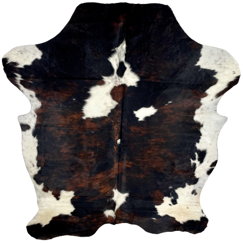 Colombian Tricolor Cowhide:  has a mix of black and brown, with a few white spots in the middle, and white with black spots and a few speckles on the belly and fore shanks, and off-white and black on the hind shanks - 7'1" x 5'4" (COTR921)