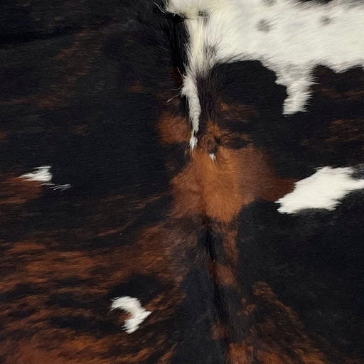 Closeup of this Colombian, Tricolor Cowhide, showing a black and reddish brown, brindle pattern, with a few white spots in the middle, one having black speckles in it (COTR922)