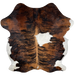 Large Colombian Tricolor Cowhide:  has a reddish brown and black, brindle pattern, with a large white spot on the right side and white on the belly, hind shanks, and part of the right, fore shank - 7'7" x 6' (COTR926)