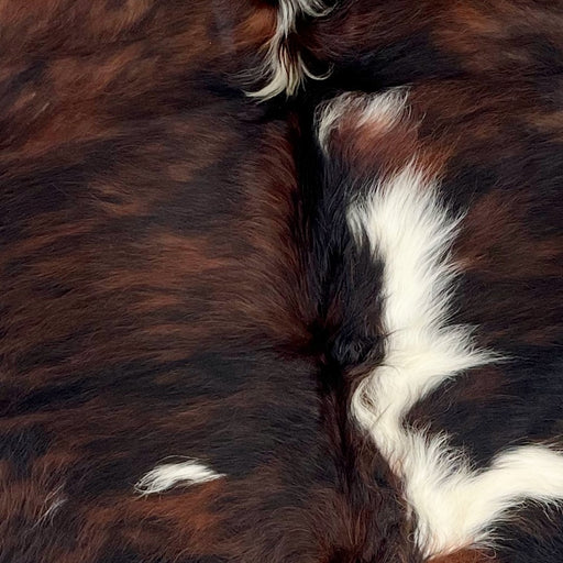 Closeup of this Colombian, Tricolor Cowhide, showing a mix of black and reddish brown, with a few white spots in the middle (COTR930)