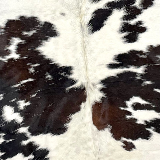 Closeup of this Colombian, Tricolor Cowhide, showing white with faint, cloudy speckles, and large and small, black spots, some having dark brown mixed in with them (COTR931)