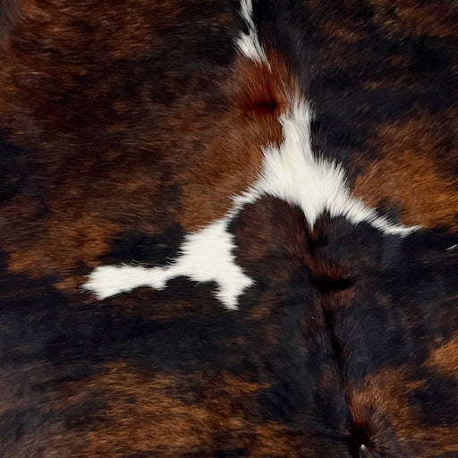 Closeup of this Colombian Tricolor Cowhide, showing a black and brown, brindle pattern, with a few white spots in the middle (COTR932)