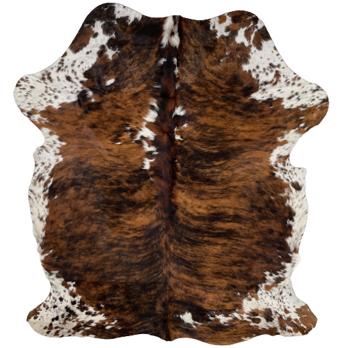 Colombian Speckled Tricolor Cowhide:  has a brown and black, brindle pattern, with a few small, white spots, and it has white with brown and black speckles and spots on the belly and shanks - 6'6" x 4'9" (COTR933)