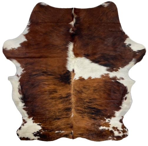 Colombian Tricolor Cowhide:  has a brown and black, brindle pattern, with a large off-white spot on the right side, and a few small off-white spots, and off-white with brown spots on the belly and shanks - 6'7"x x 5'2" (COTR936)