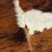 Closeup of this Colombian, Tricolor Cowhide, showing a brown and black, brindle pattern, and a large off-white spot on the right side (COTR936)