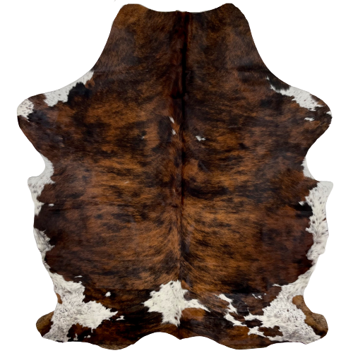 Colombian Tricolor Cowhide:  brown and black, and it has spots, with black and brown speckles, on the belly, shanks, and butt - 7'4" x 5'6"(COTR941)