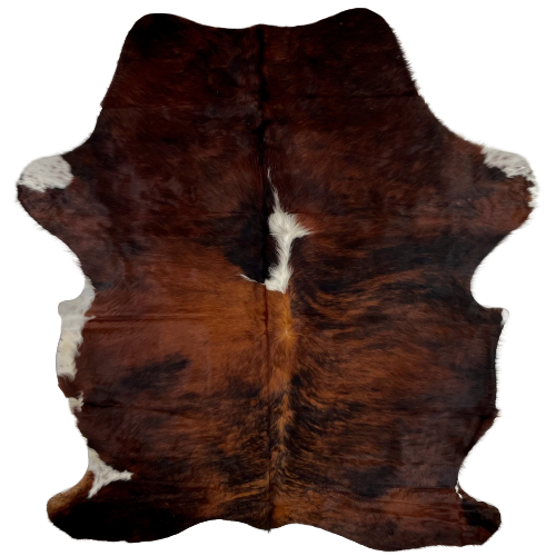 Colombian Tricolor Cowhide:  has a black and red brown, brindle pattern, with a white spot on the spine, in the middle of the shoulder, and it has white, with brown and black speckles on part of the belly, and on the edge of the fore shanks - 6'11" x 5'3" (COTR942)