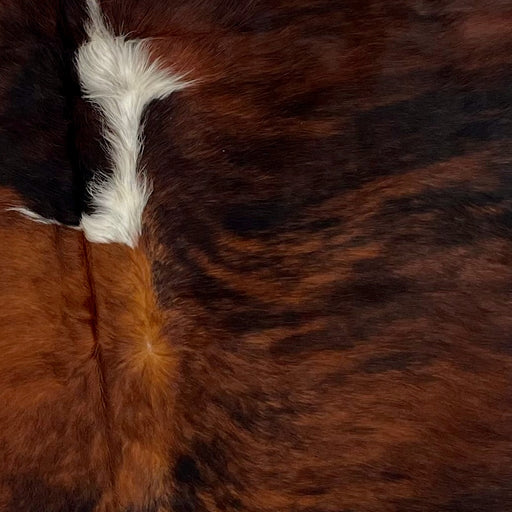 Closeup of this Colombian, Tricolor Cowhide:, showing a black and red brown, brindle pattern, with a white spot on the spine, in the middle of the shoulder (COTR942)