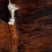 Closeup of this Colombian, Tricolor Cowhide:, showing a black and red brown, brindle pattern, with a white spot on the spine, in the middle of the shoulder (COTR942)