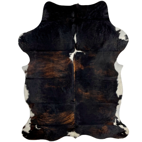 Colombian Dark Tricolor Cowhide:  has a black and brown, brindle pattern, with a couple white spots on the spine, and white on part of the belly and shanks - 6'7" x 4'4" (COTR951)