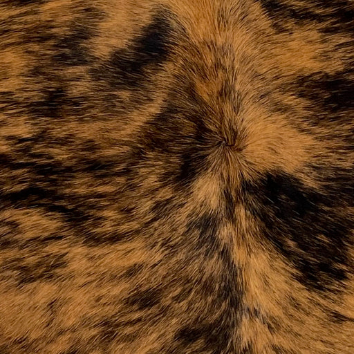 Closeup of this Colombian, Tricolor Cowhide, showing a brown and black, brindle pattern covering most of the hide (COTR985)