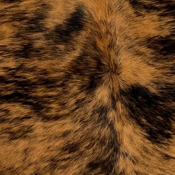 Closeup of this Colombian, Tricolor Cowhide, showing a brown and black, brindle pattern covering most of the hide (COTR985)