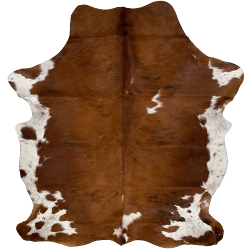 Colombian Tricolor Cowhide:  mostly brown, with a few small, black strips and a couple small white spots, and it has white, with brown spots and speckles on the belly and shanks - 6'7" x 5'1" (COTR991)