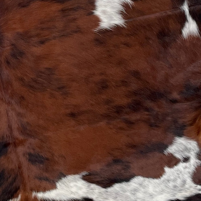 Closeup of this Colombian, Tricolor Cowhide, showing a mix of brown and black, with white spots that have black and brown speckles and spots (COTR996)