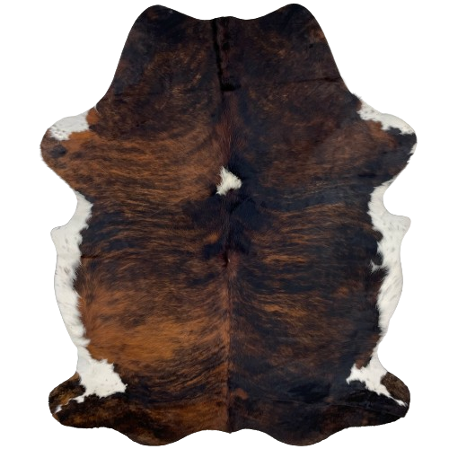 Large Colombian Tricolor Cowhide:  has a brown and black, brindle pattern, with a white spot in the middle of the shoulder, and white with black speckles on the belly and part of the shanks - 7'6" x 5'5" (COTR998)