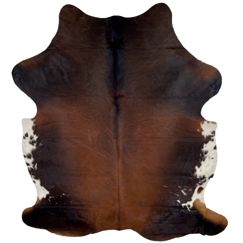 Large Colombian Red and Black Watusi Cowhide:  has a mix of red brown and blackish brown, with a few fine, white speckles, and it has white, with black and brown spots, on the belly - 7'6" x 5'8" (COWA068)