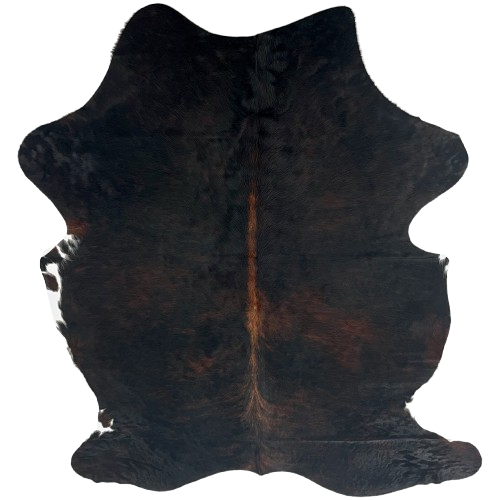Black and Red Brown Colombian Watusi Cowhide: has a mix of black and red brown, and red brown down the spine, and a few small, white spots on the belly - 6'8" x 4'10" (COWA100)