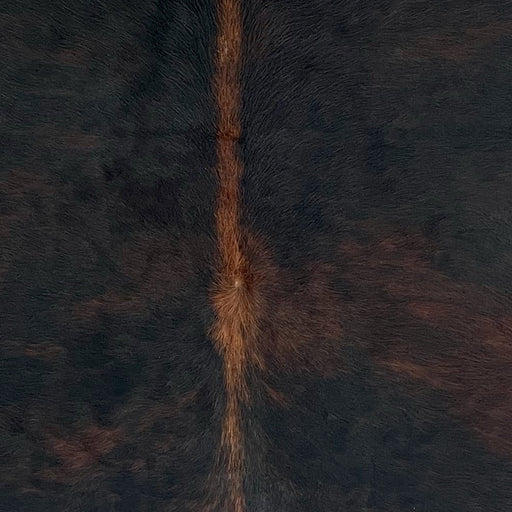 Closeup of this Colombian Watusi Cowhide, showing a mix of black and red brown, and red brown down the spine (COWA100)