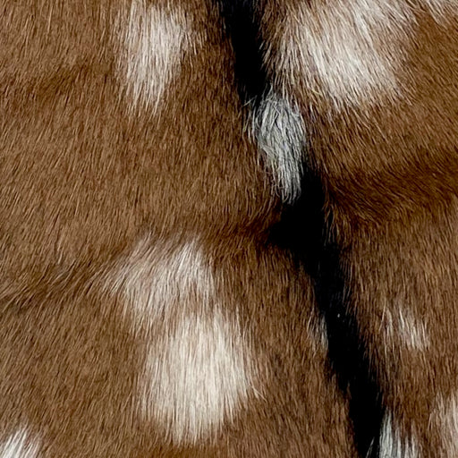 Closeup of this Brown and White, Spotted Goatskin, showing brown with white spots, and blackish brown down the spine (GOAT195)