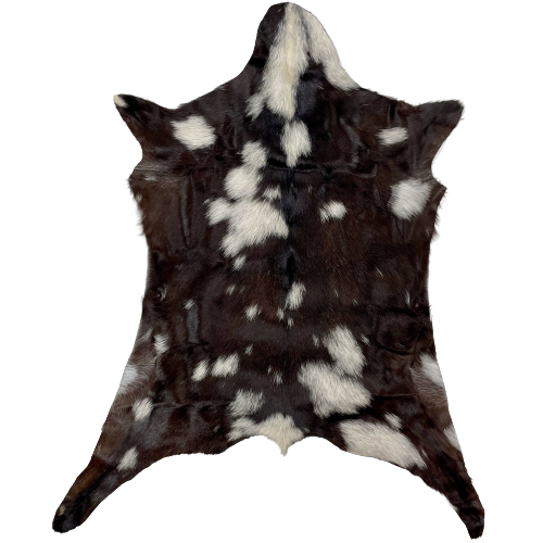 Dark Brown and White Spotted Goatskin:  dark brown with white spots  - 2'10" x 2'2" (GOAT200)