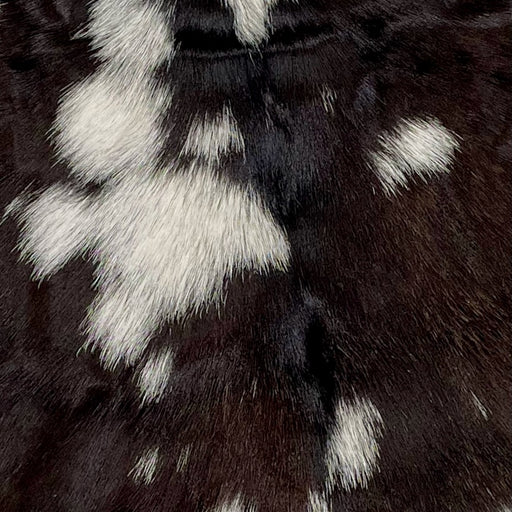 Closeup of this Dark Brown and White, Spotted Goatskin, showing dark brown with white spots (GOAT200)