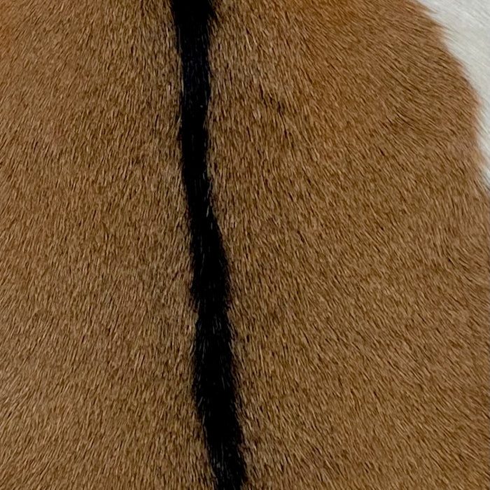 Closeup of this Brown Goatskin, showing brown with blackish brown down the spine, and an off-white spot on the right side (GOAT206)