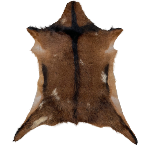 Brown Goatskin:  brown, with a few small, off-white spots, and it has a blackish brown strip down the spine and across the shoulder - 2'11" x 2'3" (GOAT207)