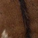 Closeup of this Brown Goatskin, showing brown, a small, off-white spot, and it a blackish brown strip down the spine (GOAT207)