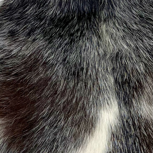 Closeup of this Dark Brown, Speckled Goatskin, showing dark brown with fine, white speckles, part of one large, white spot on the left side, and black with white speckles on the head (GOAT209)