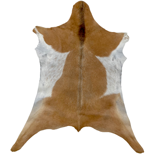 Light Brown and Off-White Goatskin:  light brown with a large, off-white, brown speckled spot on each side - 2'10" x 2'1'" (GOAT210)