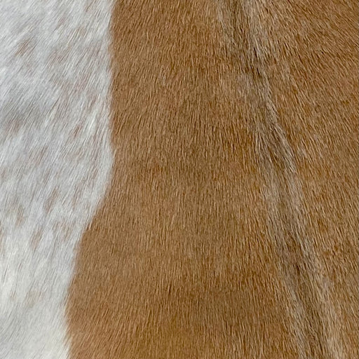 Closeup of this Light Brown and Off-White Goatskin, showing light brown and a large, off-white, brown speckled spot (GOAT210)