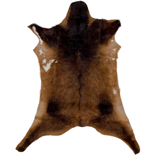 Brown Goatskin:  brown with blackish brown on the shoulder and head, and mixed in on the body, and it has a few small, white spots on the belly - 2'10" x 2' (GOAT214)