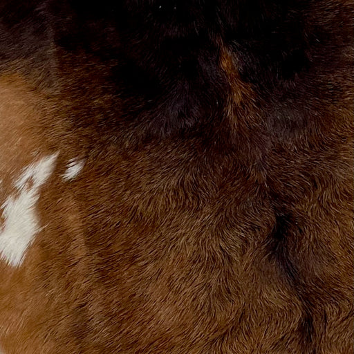 Closeup of this Brown Goatskin, showing brown with blackish brown on the shoulder, and mixed in on the body, and a few small, white spots on the belly (GOAT214)