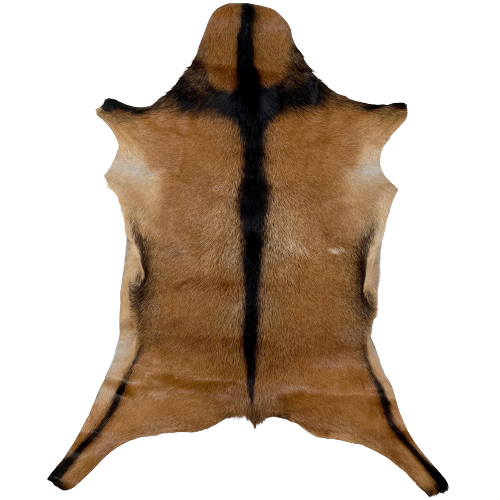 Brown and Blackish Brown Goatskin:  brown  with a blackish brown strip across the shoulder, down the spine, and on the belly - 2'10" x 2'1" (GOAT215)