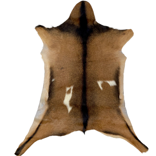 Brown and Blackish Brown Goatskin:  brown with a black strip down the spine, across the shoulder, and along the belly, and it has one off-white spot on each side of the back - 2'9" x 2' (GOAT216)