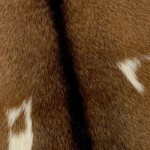 Closeup of this Brown and Blackish Brown Goatskin, showing brown with a black strip down the spine, and one off-white spot on each side of the back (GOAT216)