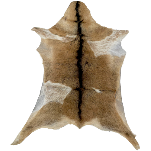 Light Brown, Dark Brown, and White Goatskin:  light brown with dark brown down the spine, and four white spots that have light brown speckles - 2'9" x 2' (GOAT218)