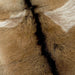 Closeup of this Light Brown, Dark Brown, and White Goatskin, showing light brown with dark brown down the spine, and four white spots that have light brown speckles (GOAT218)