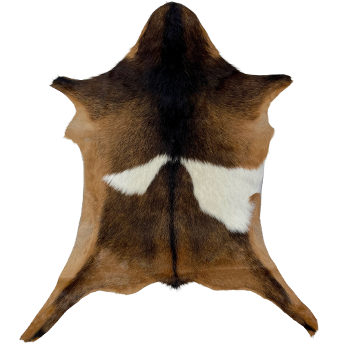 Brown, Blackish Brown, White Goatskin:  has a mix of brown and blackish brown, with a white spot on both sides of the back - 2'10" x 2'4" (GOAT227)