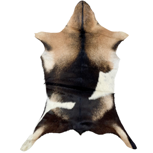 Tricolor Goatskin:   has light brown, dark brown, and white spots- 2'11" x 2' (GOAT229)