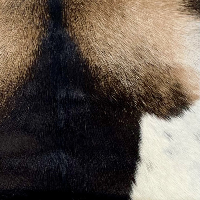 Closeup of this Tricolor Goatskin, showing light brown, dark brown, and white spots (GOAT229)