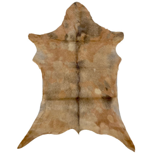 Multi Tone Brown Spotted Goatskin:  spotted with  brown, tan, reddish brown, and golden brown, and it has a strip of brown down the spine  3'2" x 2'3" (GOAT231)