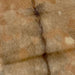 Closeup of this Multi Tone Brown Spotted Goatskin, showing spotted with brown, tan, reddish brown, and golden brown, and it has a strip of brown down the spine (GOAT231)