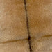 Closeup of this Goatskin, showing light brown with a darker brown strip down the spine (GOAT240)