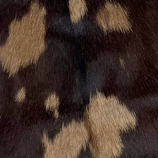 Closeup of this Spotted Goatskin, showing dark brown with lighter brown spots (GOAT244)