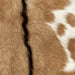 Closeup of this Brown and Off-White Goatskin, showing medium brown, with dark brown down with spine, and off-white with brown spots (GOAT245)